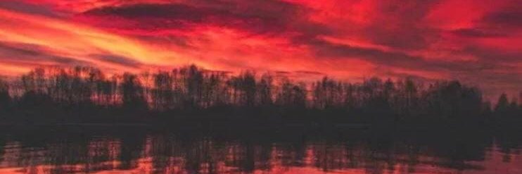 Shieffield's profile banner image