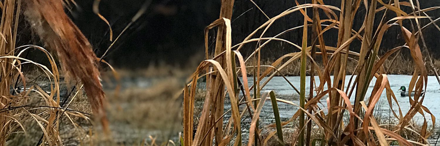 zsfowler's profile banner image