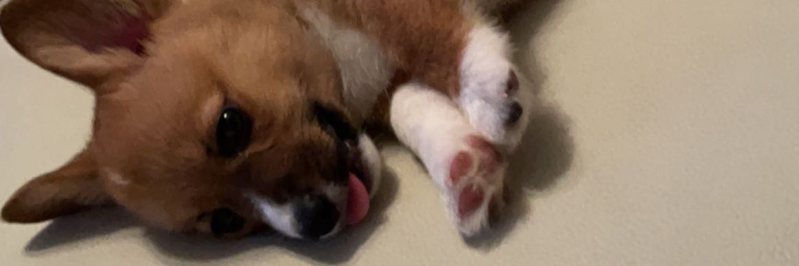 12ickyy's profile banner image