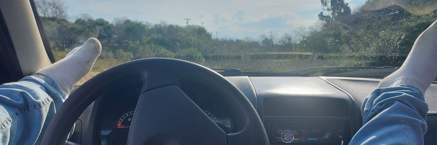 ricelelopes's profile banner image