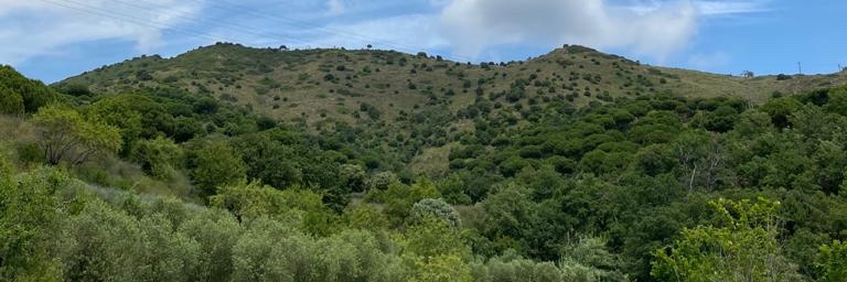 albaGiro's profile banner image