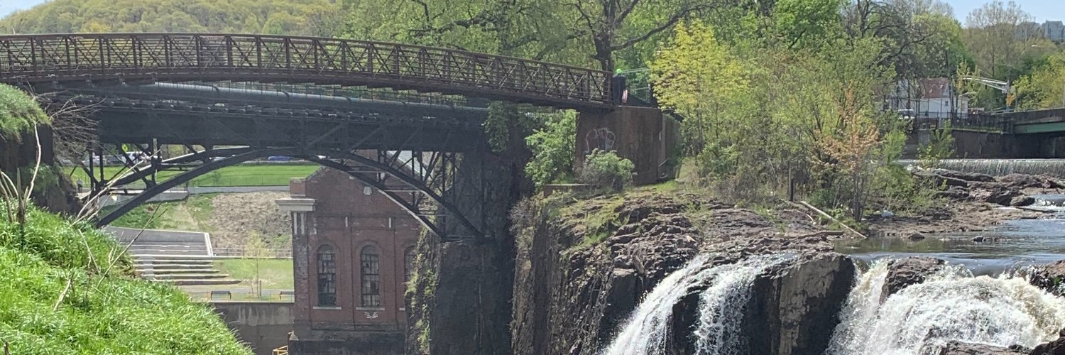 Lizandaa Alburg banner