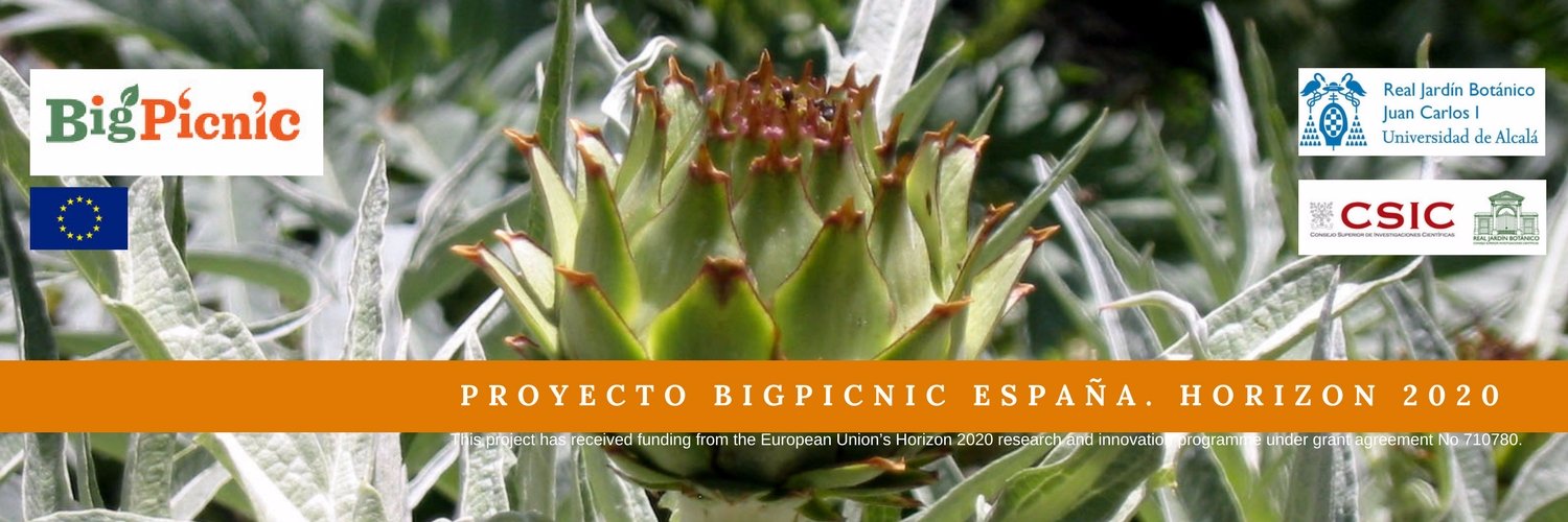 BigpicnicE's profile banner image