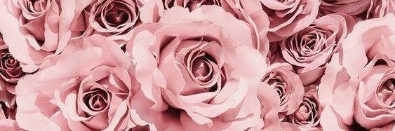 x_phallyn's profile banner image