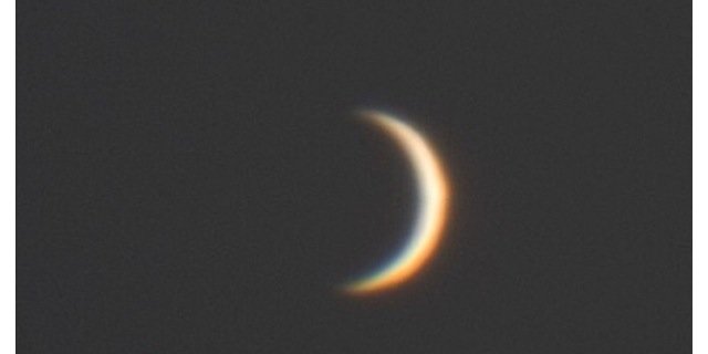 Ms_Garbo's profile banner image