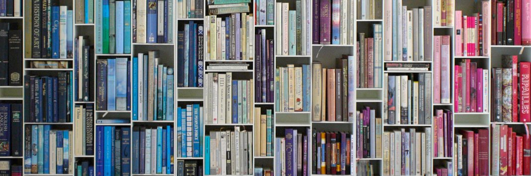 Michelle Hylan banner