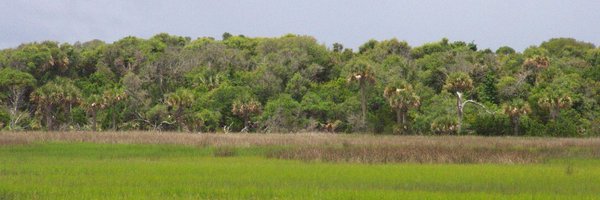 wrs1967 Profile Banner