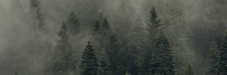billyGayosso's profile banner image