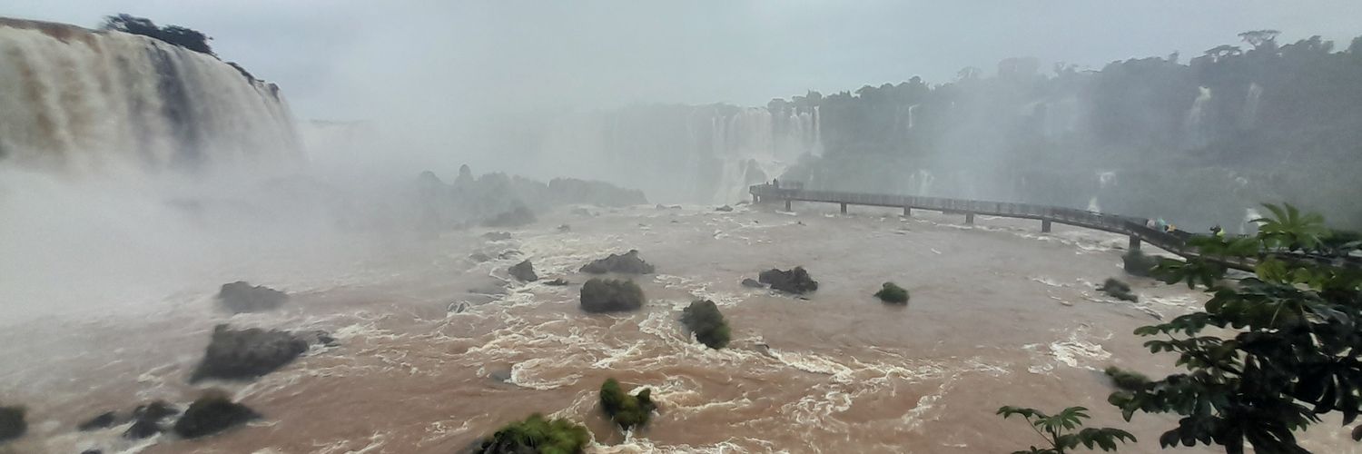 Ernesto González banner
