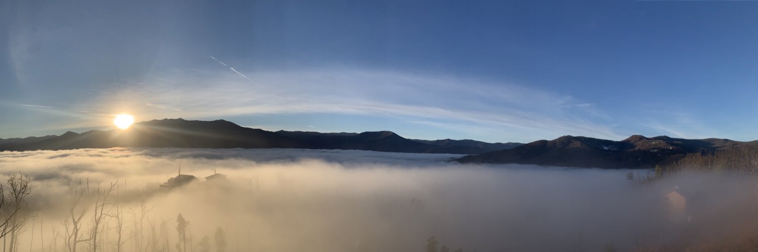 🇺🇸🇺🇸🦅🐝🐊🦅🇺🇸🇺🇸 banner