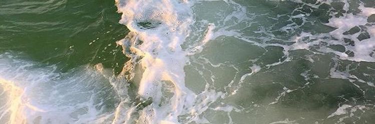 gracecantu_6's profile banner image