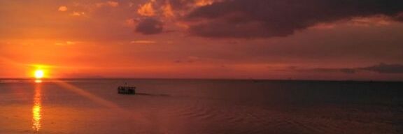 duwiiwi's profile banner image