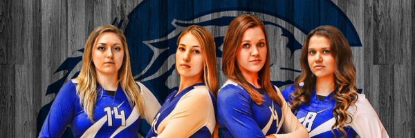 ChowanVball Profile Banner
