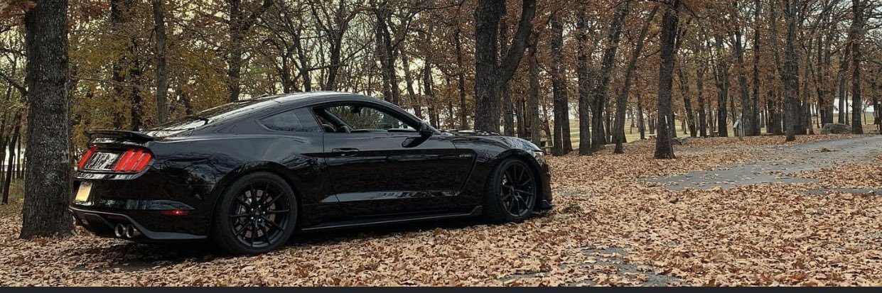 dannyroman_'s profile banner image