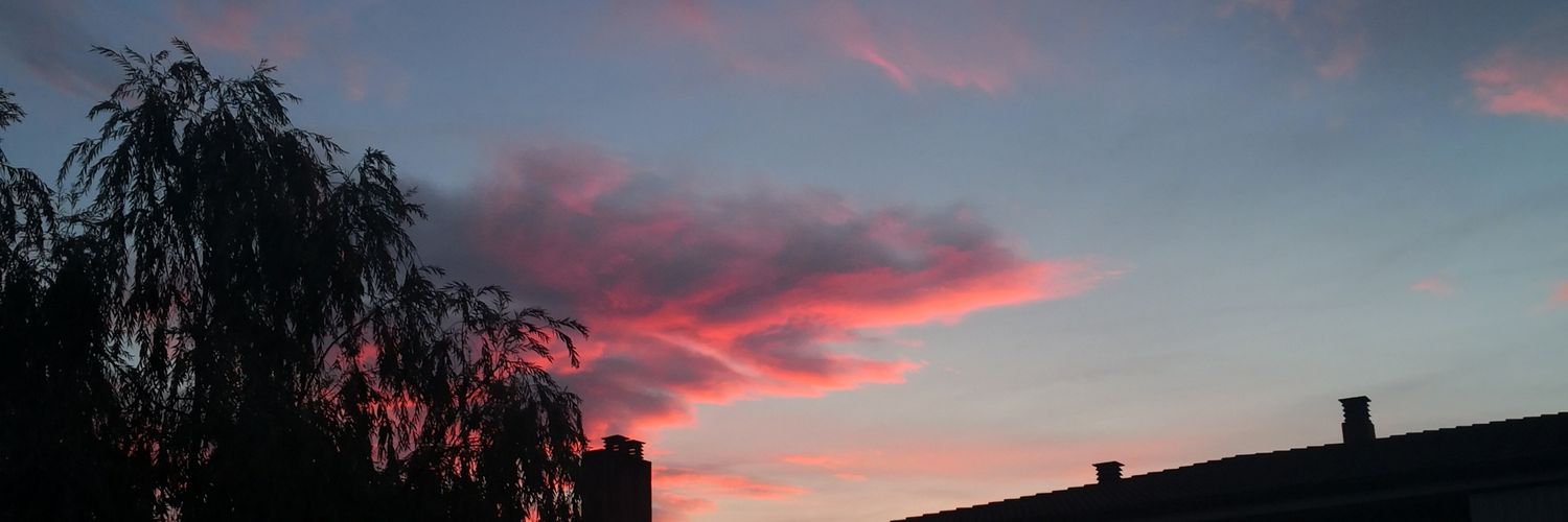 aaaaalejandro__'s profile banner image