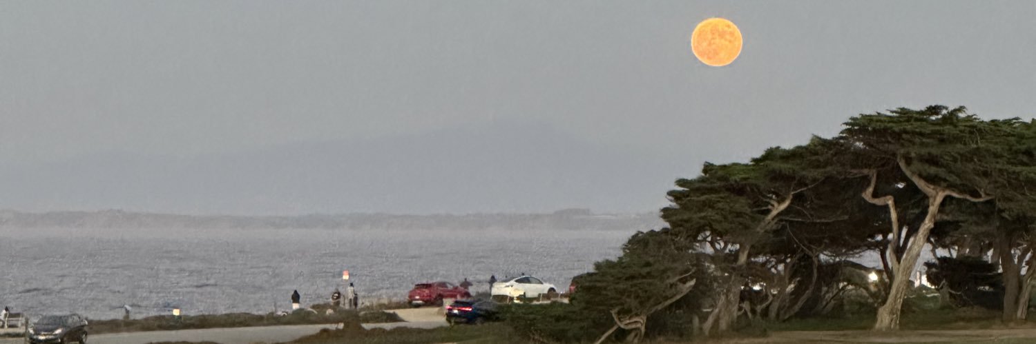 tanner banner
