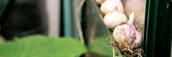 RootsToWork Profile Banner