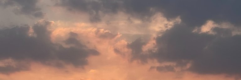 Dr Antonio Campos banner