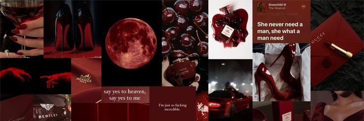 𝐏𝐀𝐋𝐎𝐌𝐀. banner