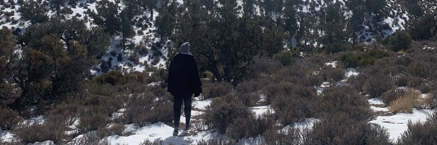 savethekoBEES's profile banner image