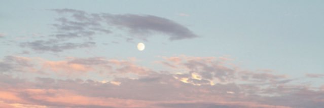 claudiososag's profile banner image