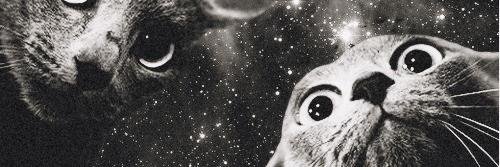 Mo_Pak's profile banner image