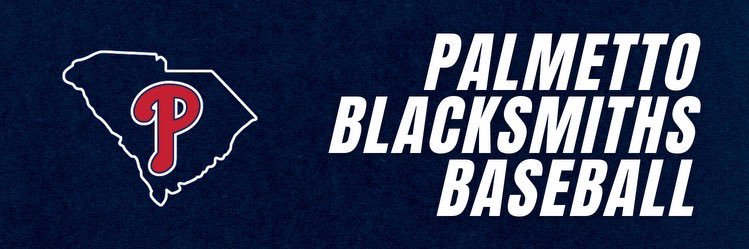 Palmetto Blacksmiths Baseball's banner