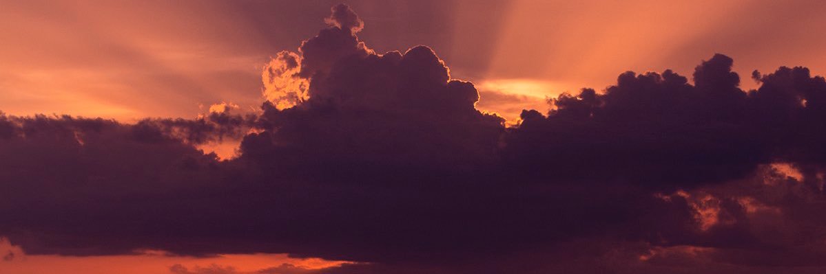 p_elicans's profile banner image