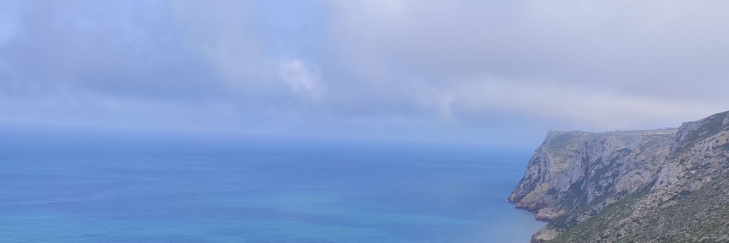 Lis banner
