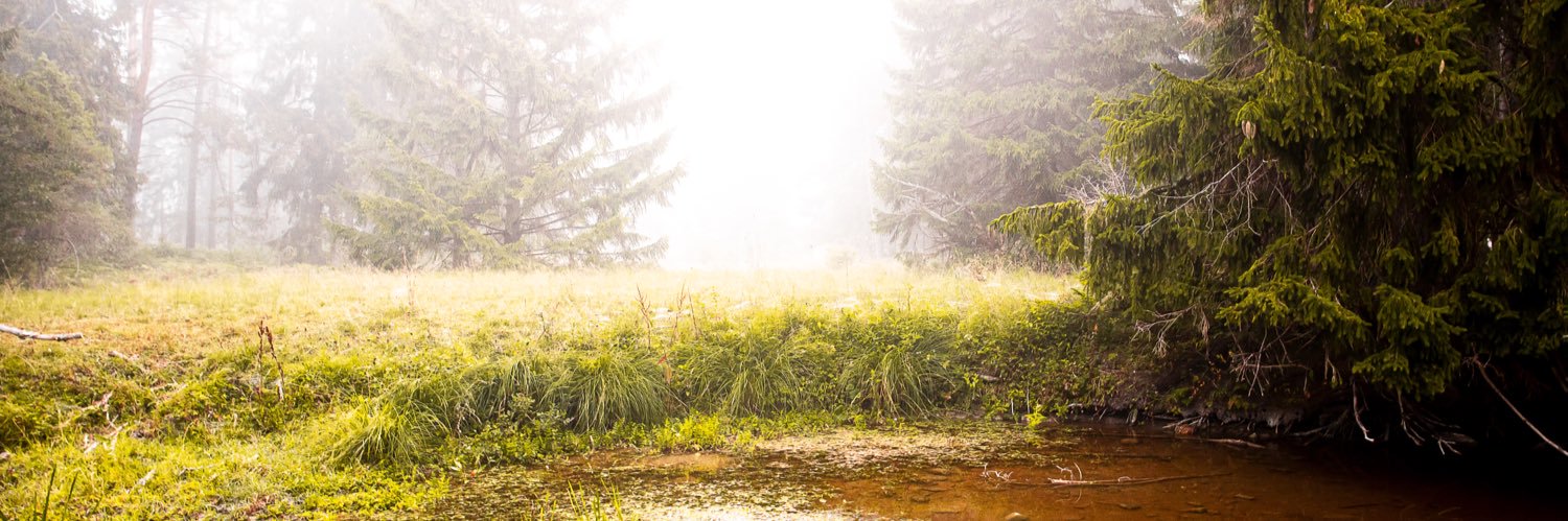 ThomasBaeckman's profile banner image