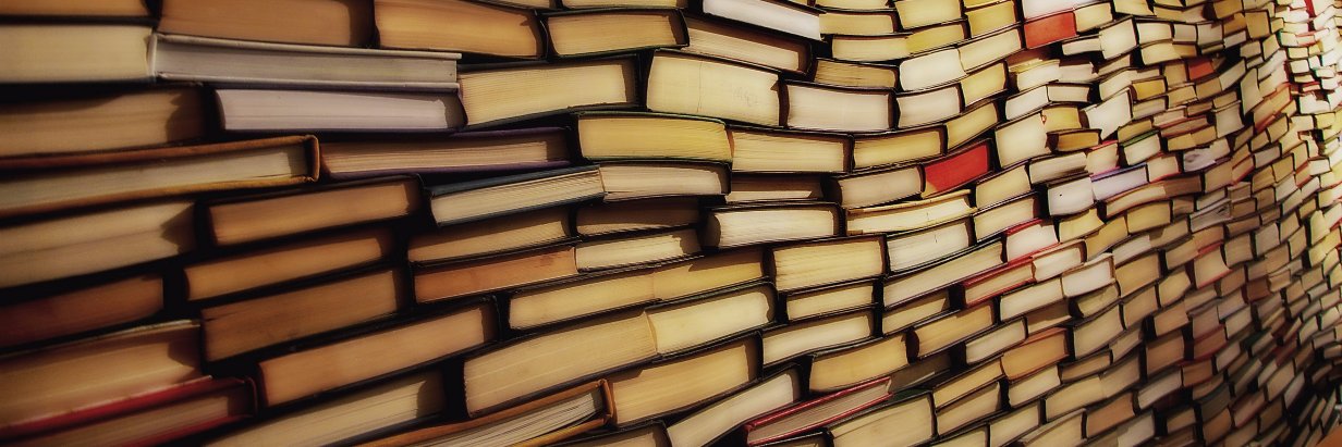 BaldGuyBookReviews banner
