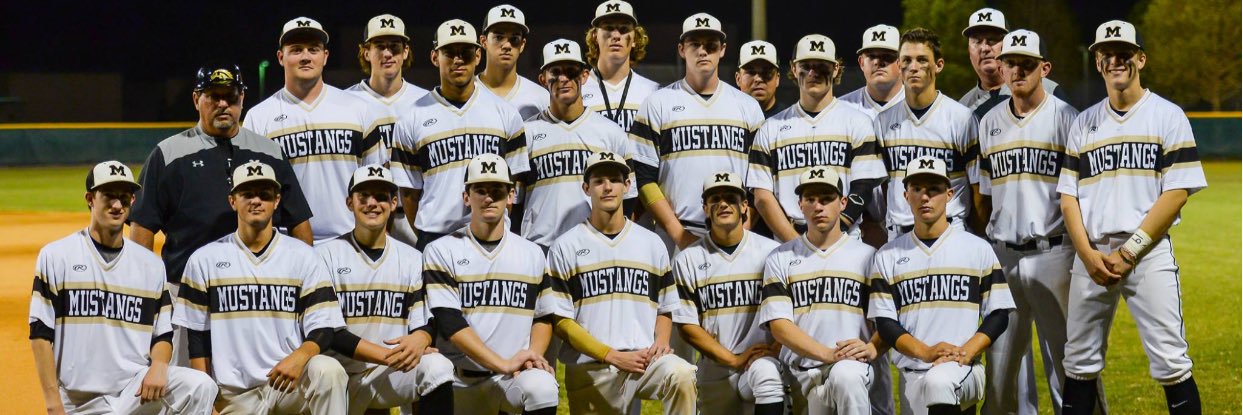 Mitchell Baseball banner