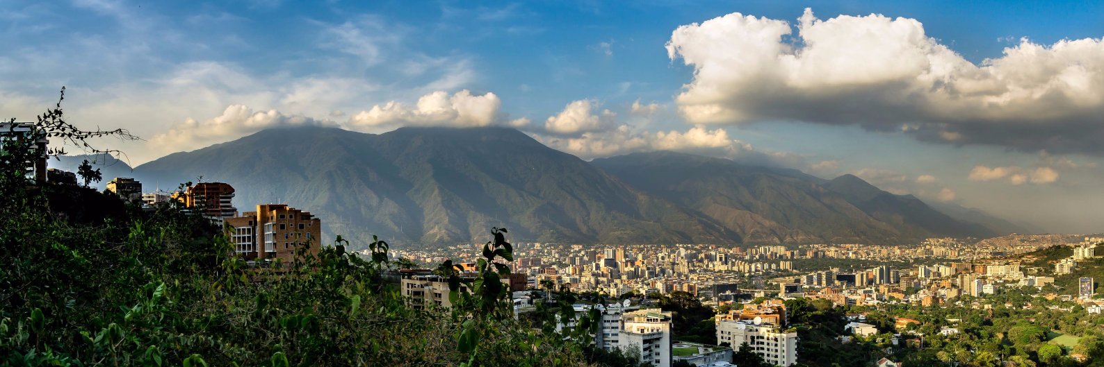 Gerver Torres banner