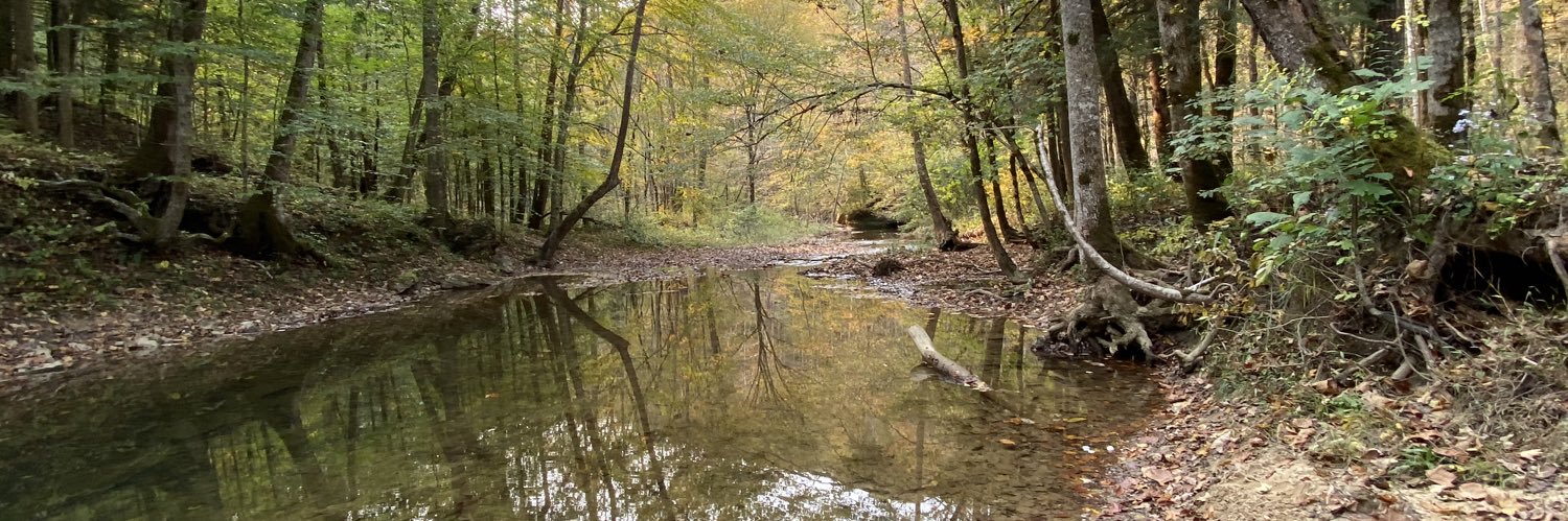 Dr. Tiffany Messer banner