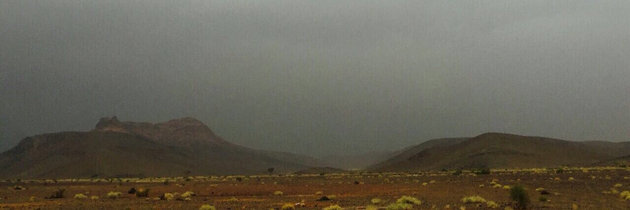 سليمان أبو جنيب banner