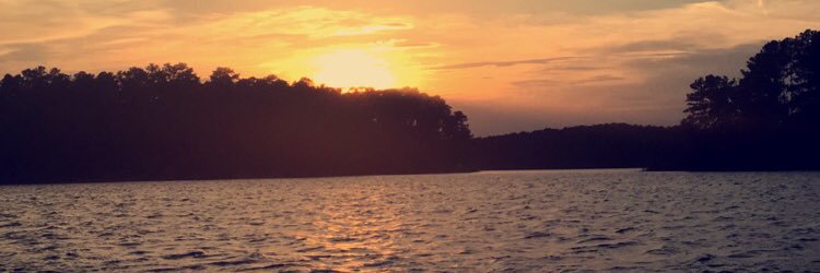 tess_kiser's profile banner image