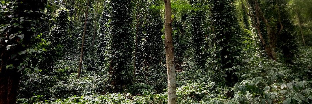 BasudevNews's profile banner image