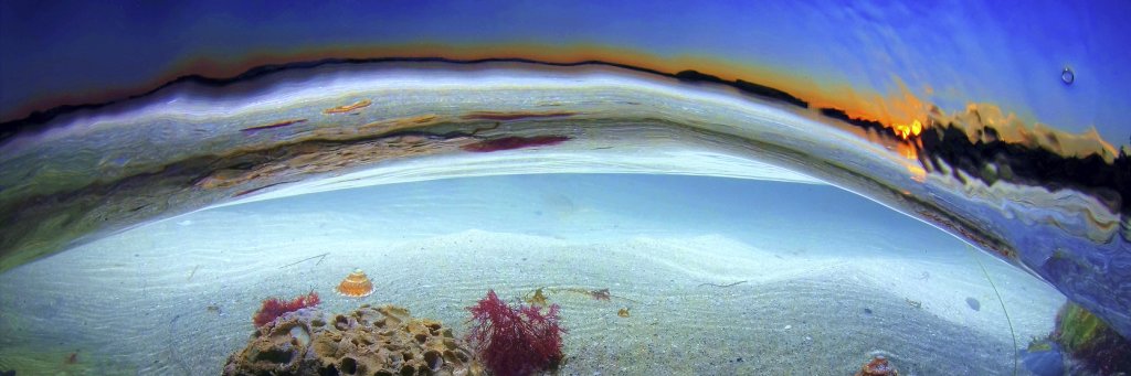 waterhousing's profile banner image