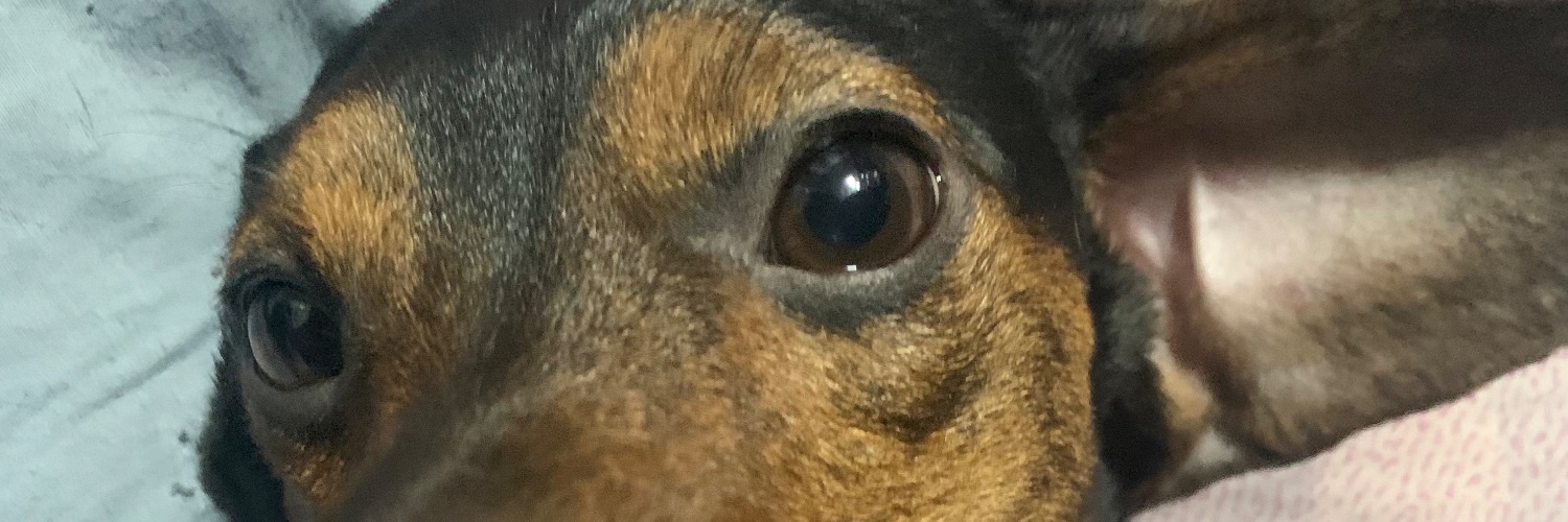 gracellamarc's profile banner image