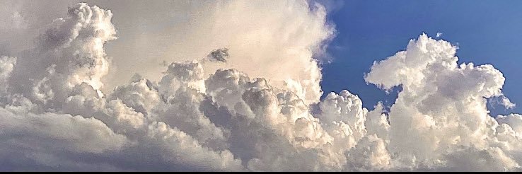 sierraanev's profile banner image