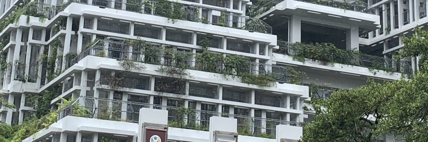 林林 banner