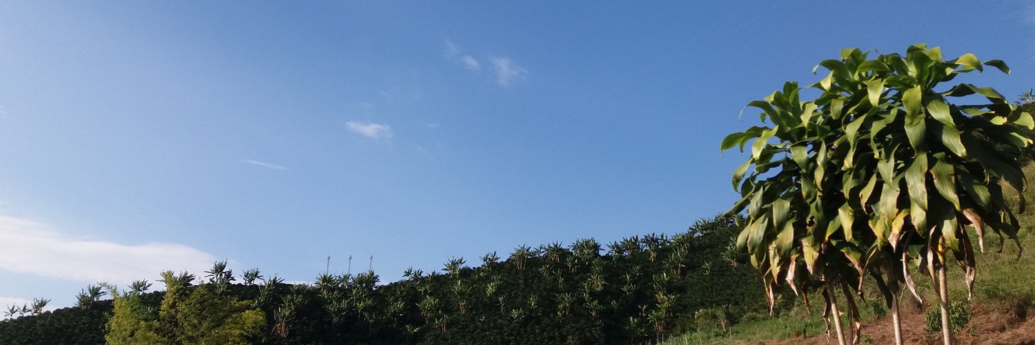 Libny Daniela Blanco banner