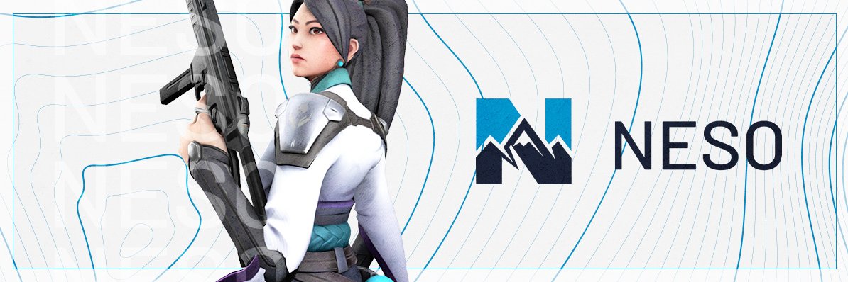 Northern Esports Organization banner