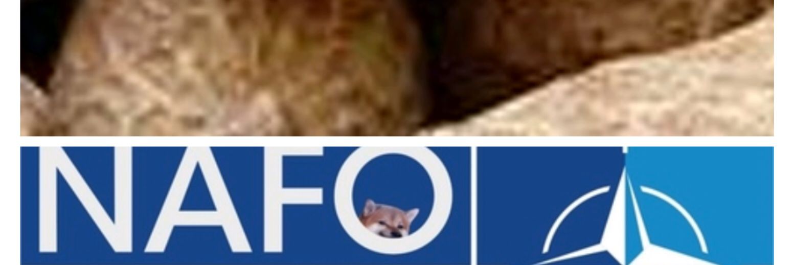 MePeanuts 〓〓🇺🇦🇪🇺 banner