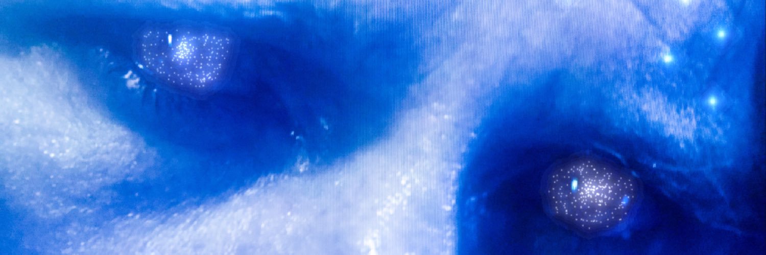 fireflymiller1's profile banner image