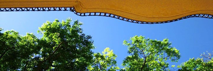 pmcbell's profile banner image