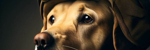 AssistanceZiggy Profile Banner