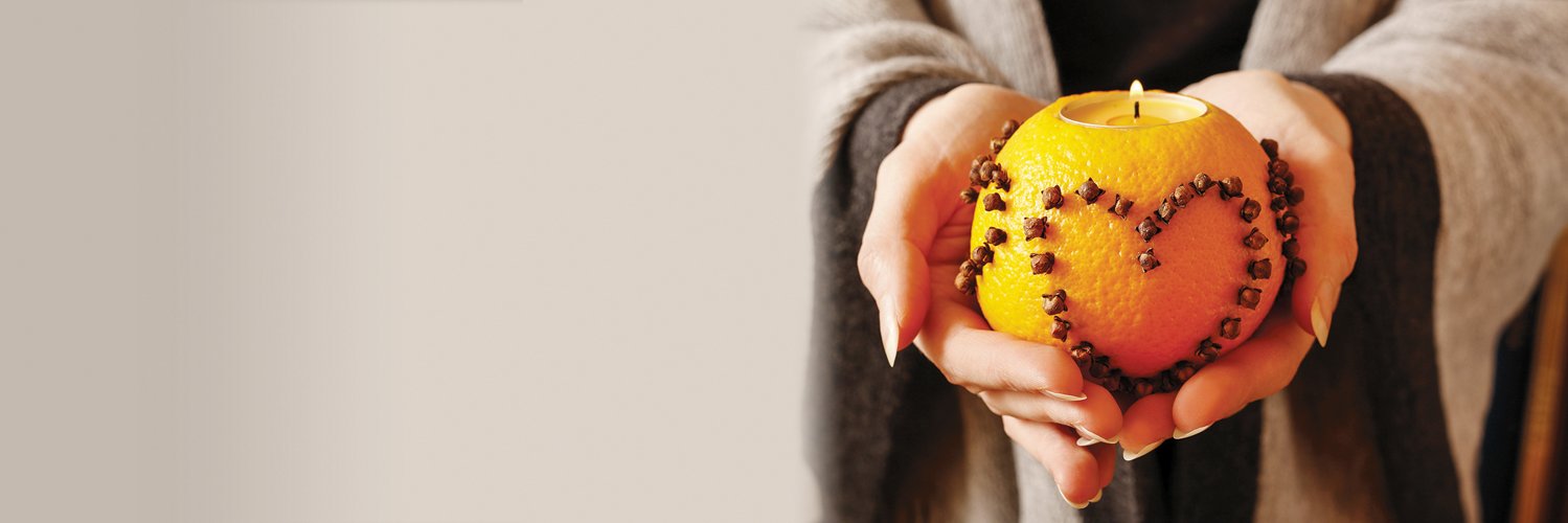 NaturallyWestMI's profile banner image