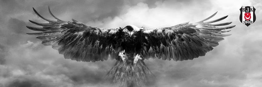 theYusufRain's profile banner image