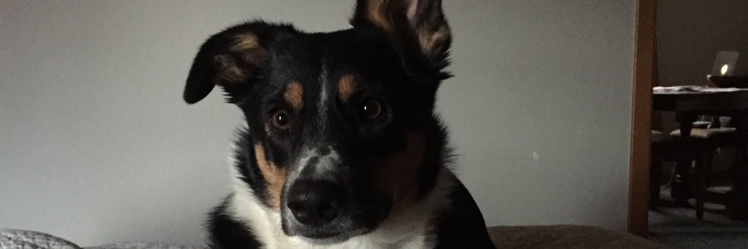 bigmollz's profile banner image